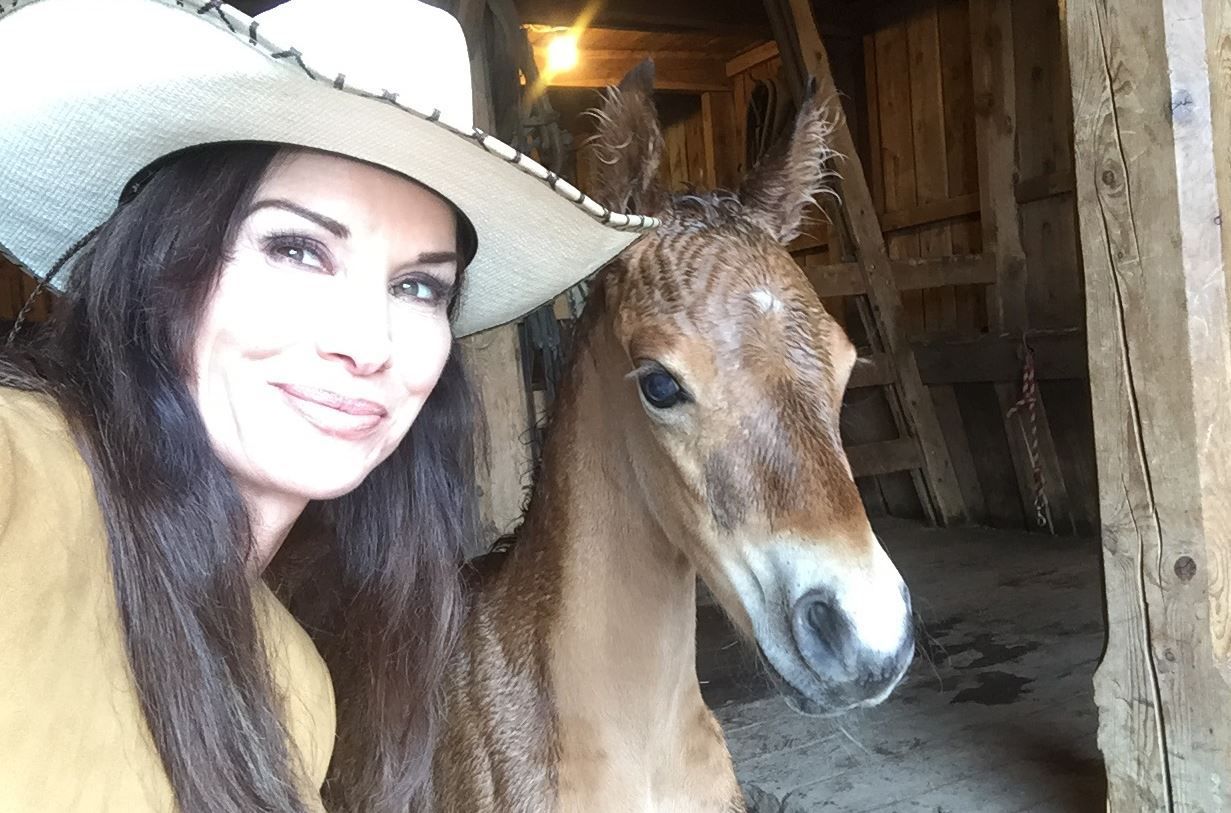 Debbe Dunning's Dude Ranch Round-up